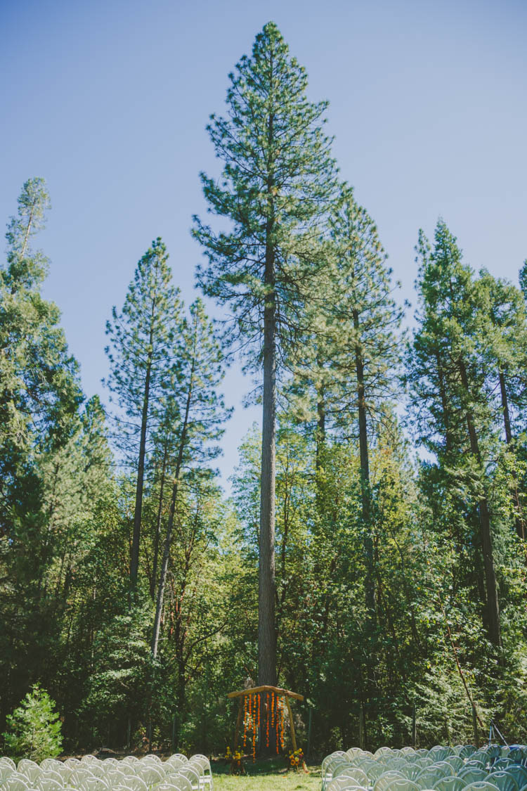 Woodland Ceremony Farmer's Wedding Forest http://www.lenkalandphotography.com/