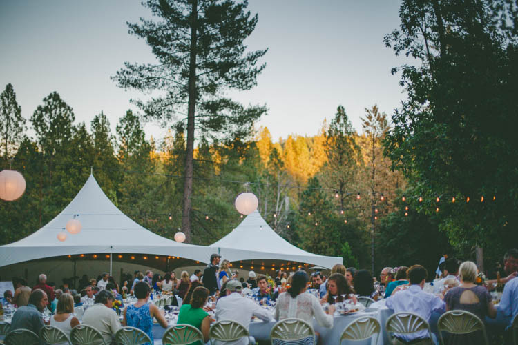 Farmer's Wedding Forest http://www.lenkalandphotography.com/