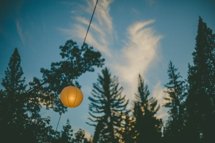 Farmer's Wedding Forest http://www.lenkalandphotography.com/