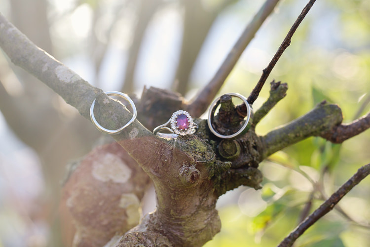 Purple Stone Engagement Ring Halo Fresh Fun Rainbow Garden Wedding http://www.lydiastampsphotography.com/