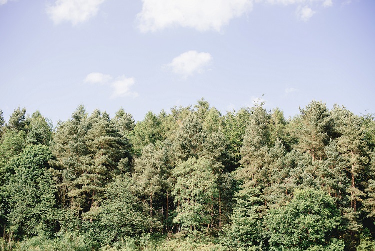 Laid Back Bohemian Festival Wedding http://benjaminmathers.co.uk/