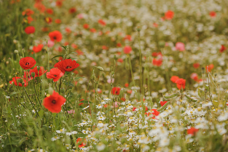 Fun Outdoorsy Farm Wedding http://www.samgibsonweddings.co.uk/