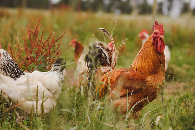 Fun Outdoorsy Farm Wedding http://www.samgibsonweddings.co.uk/