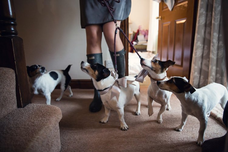 Dogs Pets Yellow Grey Rustic Farm Wedding http://assassynation.co.uk/