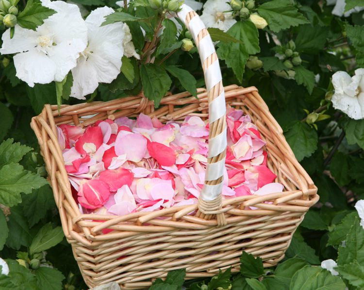 Rose Petal Confetti Basket. Credit- The Real Flower Petal Confetti Company.