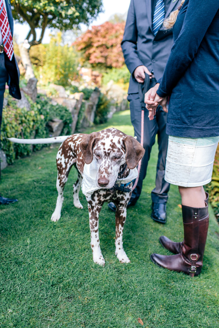 Dog Pet Vintage Homely Outdoor Wedding http://heartfulloftea.com/