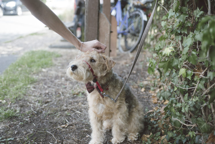 Dog Pet Quirky DIY House Party Wedding http://www.petecranston.com/