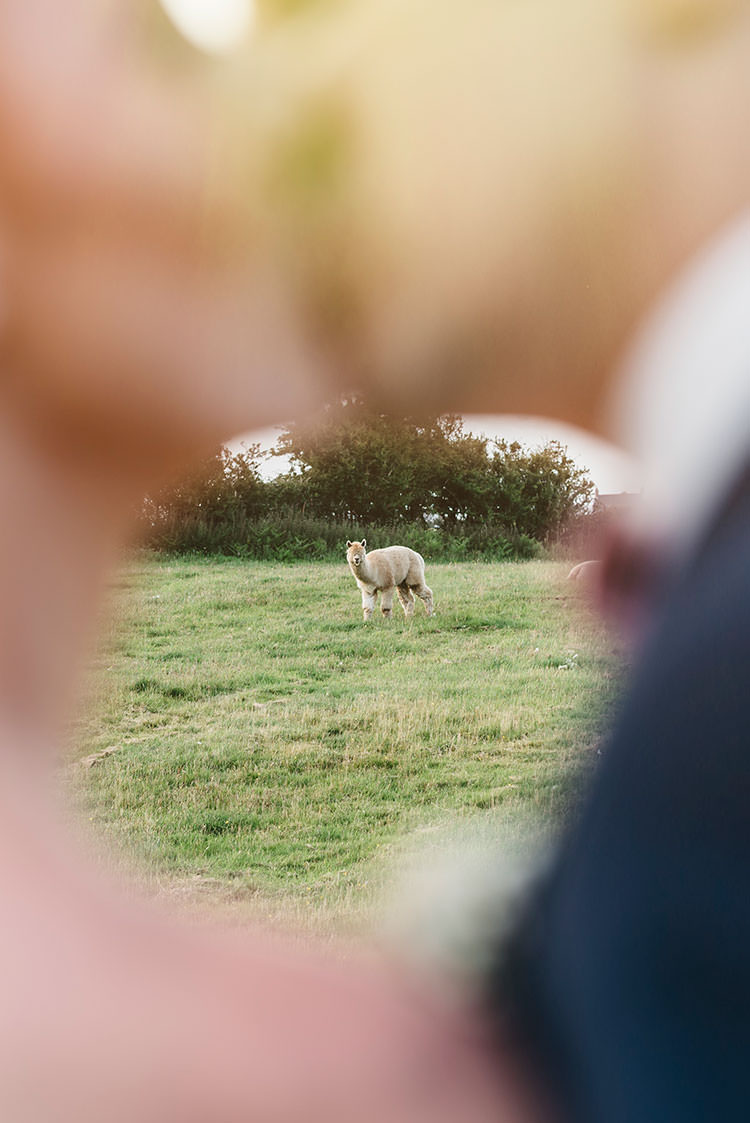 Romantic Pretty Pink Wedding http://marcsmithphotography.com/