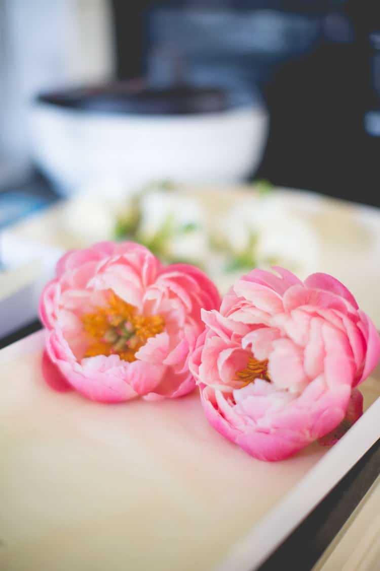 Large Coral Pink Peony Peonies Family Farm Festival Wedding https://amylouphotography.co.uk/