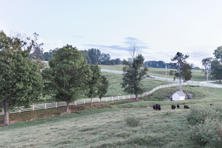 Grace Meadows Farm Rustic Country Barn Wedding in Tennessee https://www.sweetlyvintage.com/