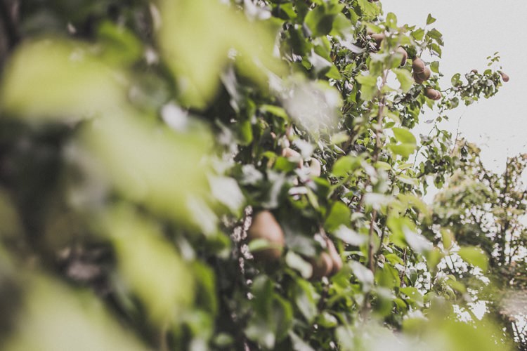 Natural Beautiful Autumn Outdoor Wedding http://www.johnelphinstonestirling.com/