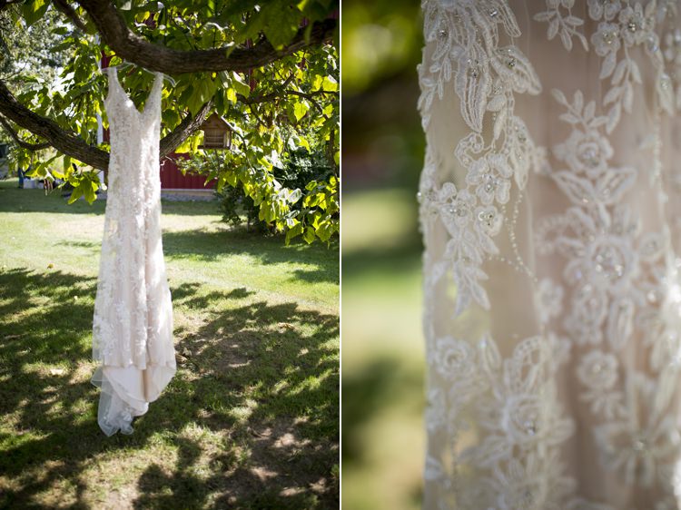 Bride Lace Beaded V-Neck Bridal Gown Tree Country Farm Barn Wedding Ohio http://www.caseyclarkphotography.net/ 