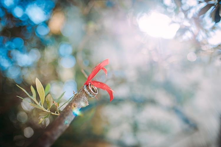Wedding Rings Ribbon Branch Beautiful Traditional Greek Destination Wedding in Cyprus http://www.jonnybarratt.com/
