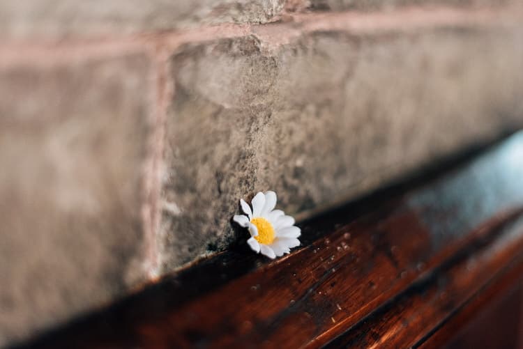 Natural Rustic Yellow Wedding http://www.edbrownphotography.co.uk/