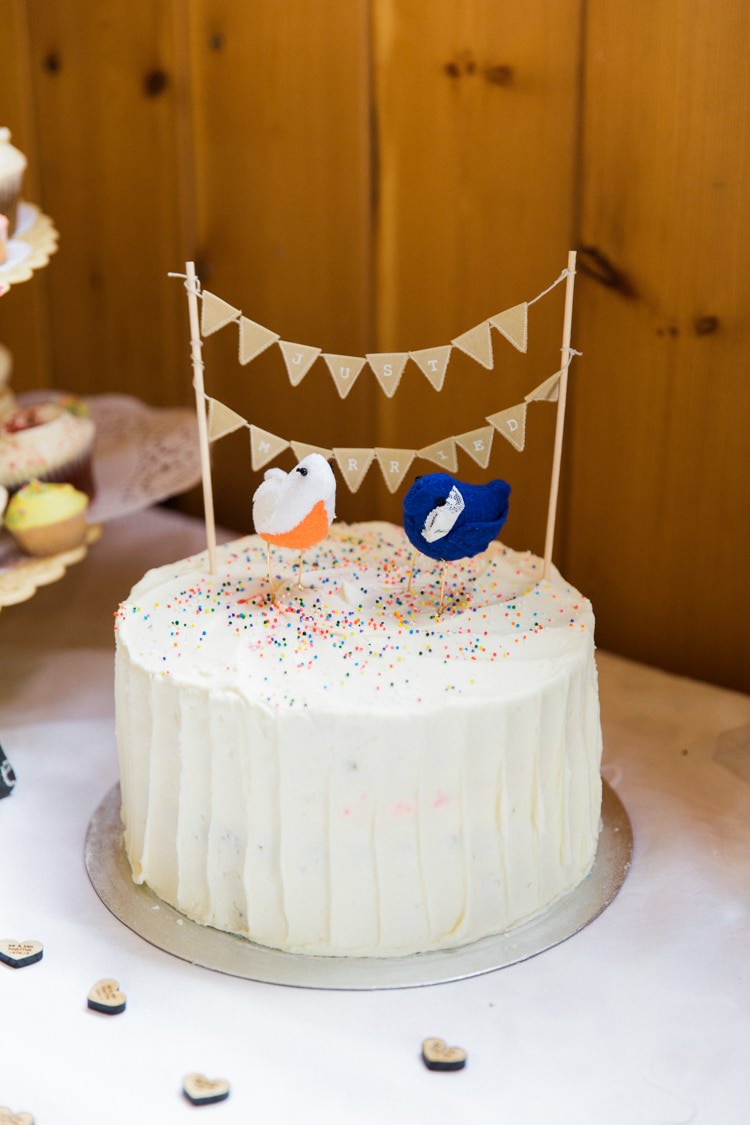 Buttercream Rainbow Cake Bird Bunting Topper Relaxed Budget Friendly Village Hall Wedding http://www.lisadawn.co.uk/