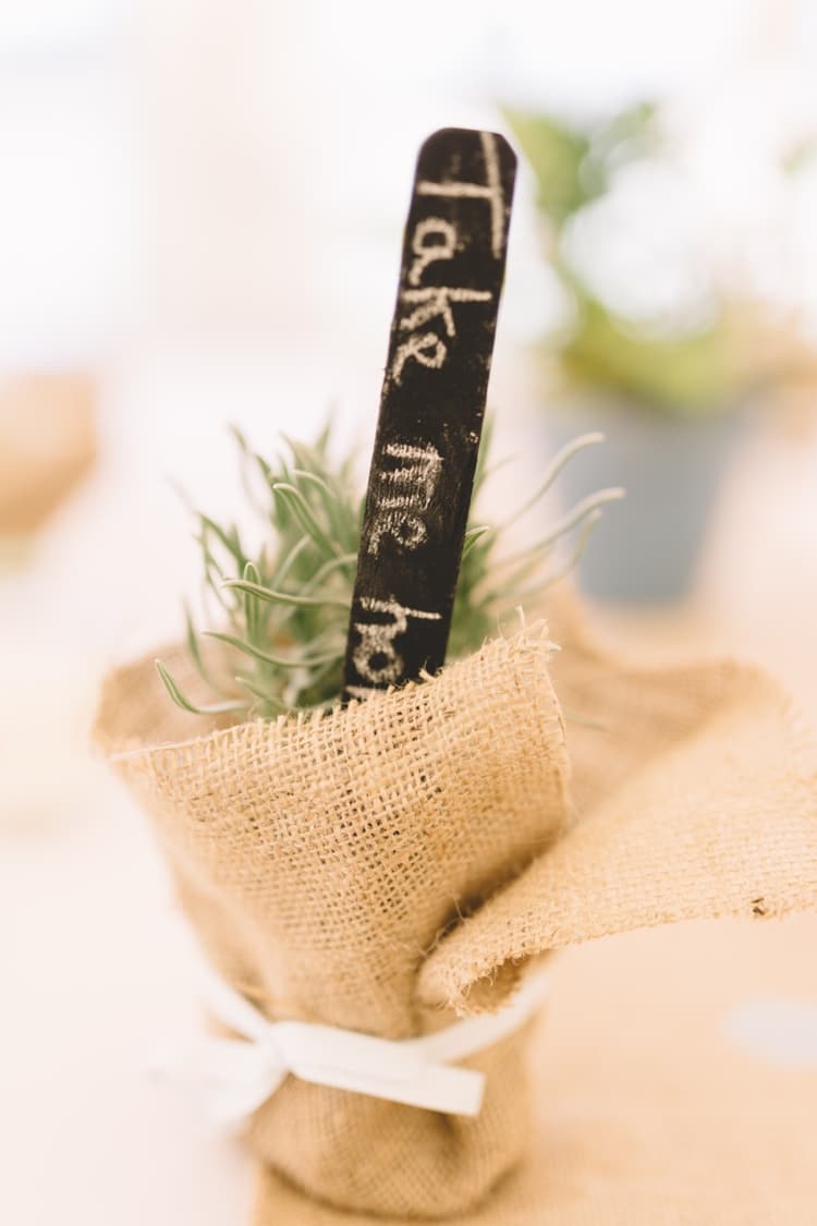 Potted Plant Favour Boho Beer Festival Wedding http://www.emilysteve.com/