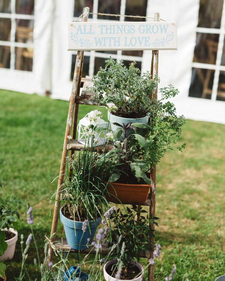 Ladder Flowers Potted Plants Boho Beer Festival Wedding http://www.emilysteve.com/