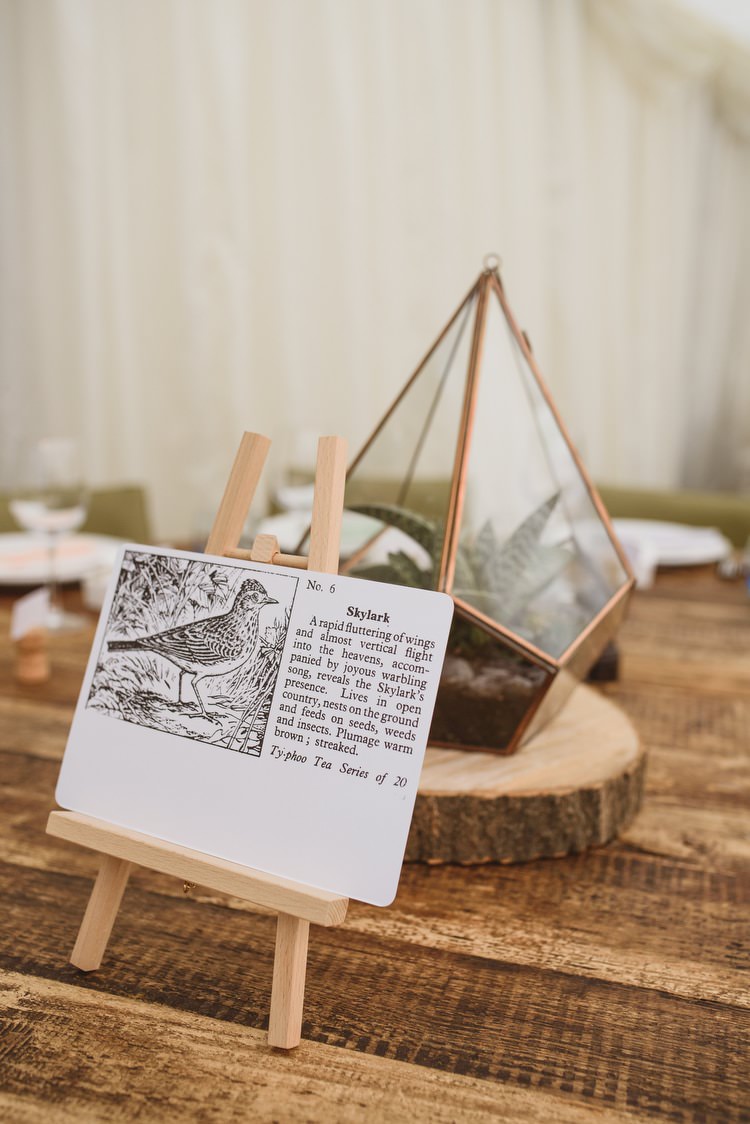 Terranium Bird Table Names Centrepiece Decor Crafty Botanical Natural Wedding http://www.jacksonandcophotography.com/