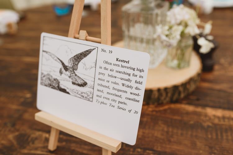 Crafty Botanical Natural Wedding http://www.jacksonandcophotography.com/