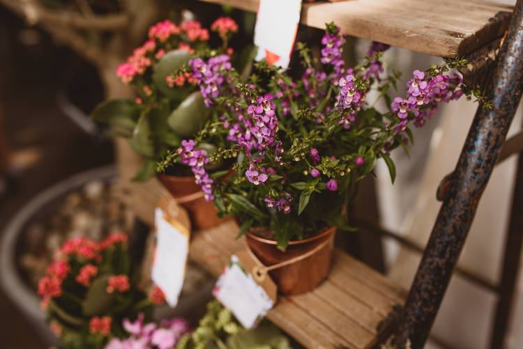 Crafty Botanical Natural Wedding http://www.jacksonandcophotography.com/