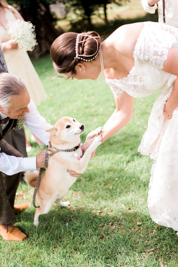 Dog Pet Bride Multicoloured DIY Rustic Wedding http://vickylamburn.com/