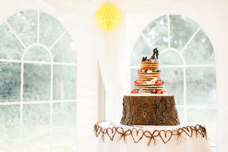 Naked Cake Layer Sponge Log Stand Multicoloured DIY Rustic Wedding http://vickylamburn.com/