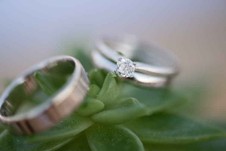 Engagement Wedding Rings Green Succulent Plant Geometric Desert Dubai Wedding Ideas http://weddingphotographerdubai.me/