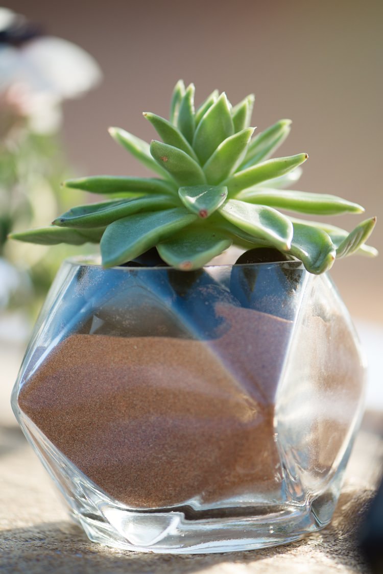 Clear Vase Green Succulent Plant Sand Centrepiece Geometric Desert Dubai Wedding Ideas http://weddingphotographerdubai.me/