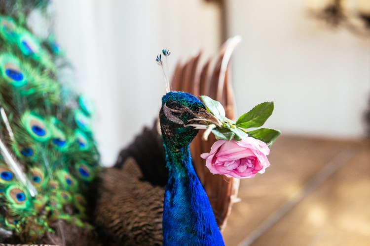 Quirky Intimate Laid Back Wedding http://www.cassandralane.co.uk/