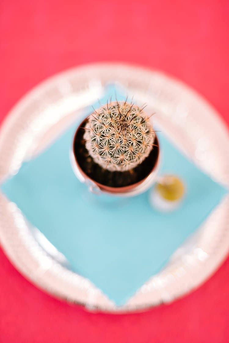 Cactus Favour Tropical 1920s Pink Budget Wedding http://lilysawyer.com/
