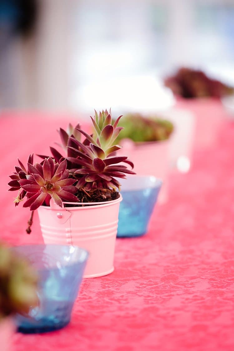 Succulent Pot Tropical 1920s Pink Budget Wedding http://lilysawyer.com/