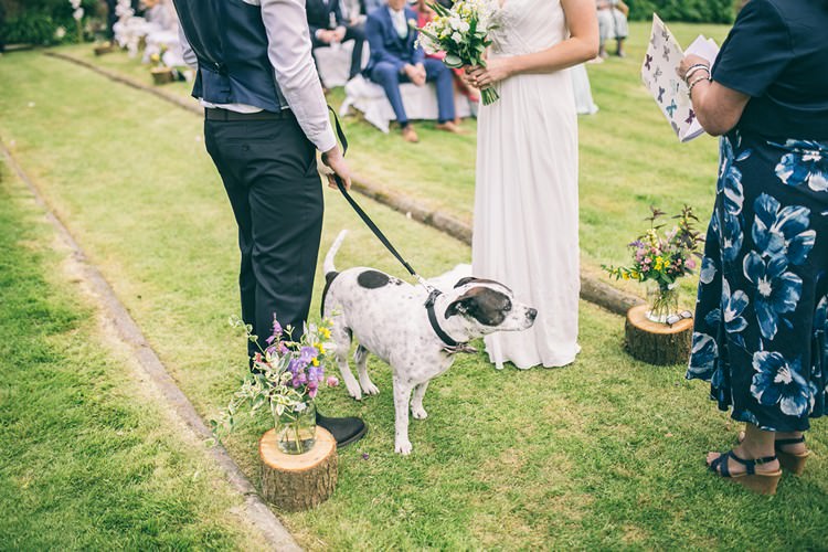 Dog Pet Bohemian Home Made Farm Wedding http://www.jessyarwood.co.uk/