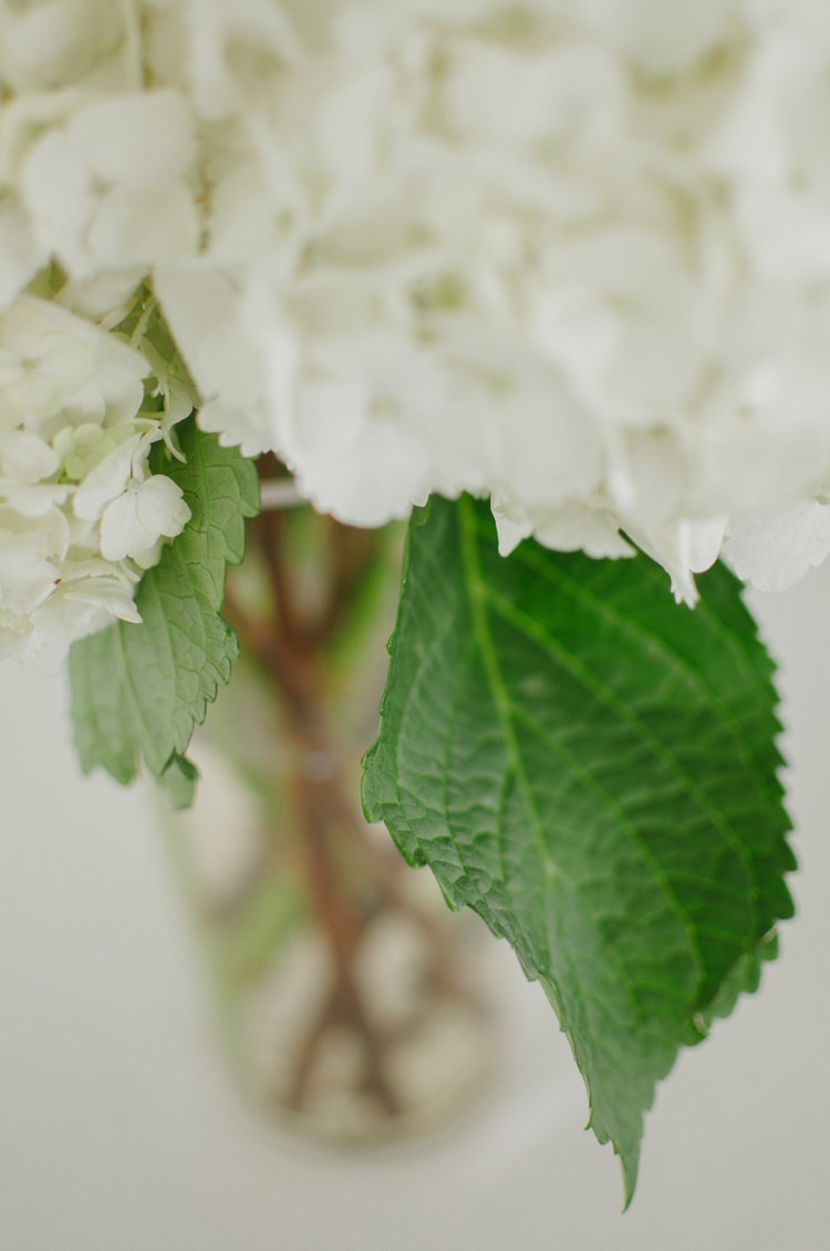 White Hydrangea Glass Vase Florals Romantic Fresh Outdoor Wedding Ontario http://www.rebeccabose.com/