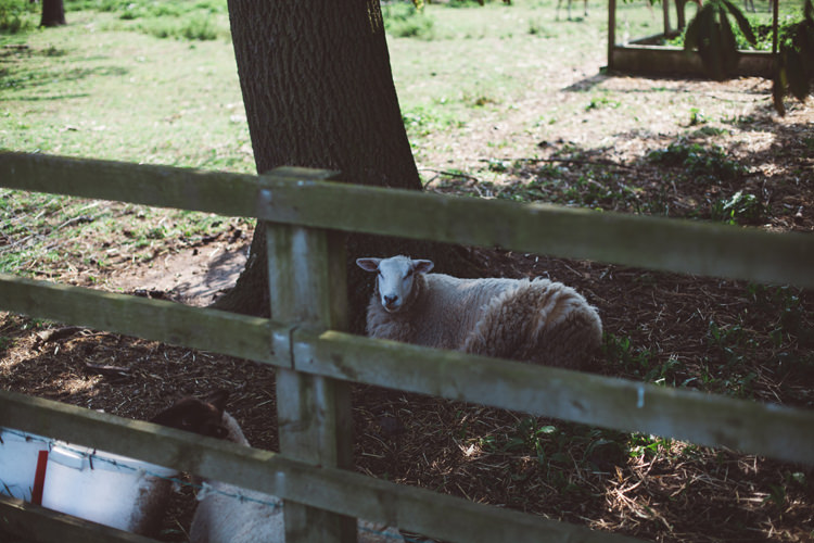 Classic Outdoor Country House Wedding http://www.leahhensonweddings.com/