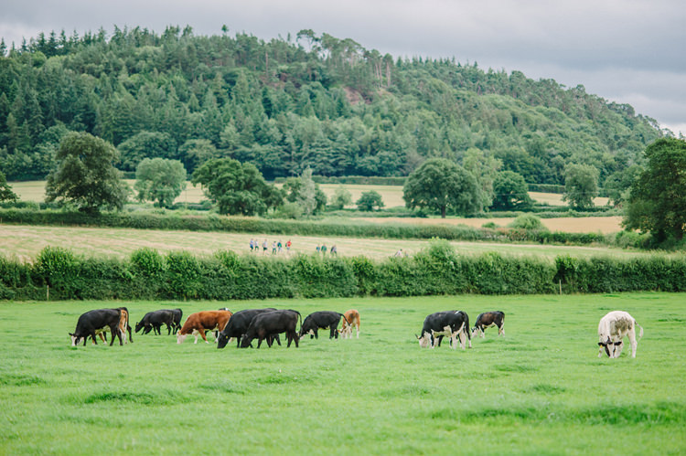 Big Top Farm Party Wedding http://www.robinstudios.com/