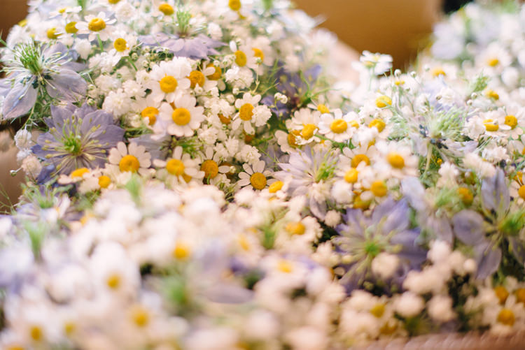 Daisy Daisies Bouquets Flowers Big Top Farm Party Wedding http://www.robinstudios.com/