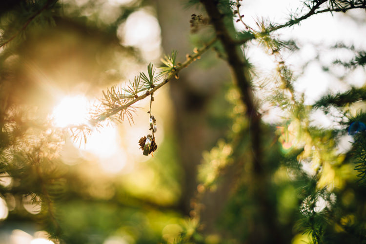 Rural Rustic Autumn Wedding http://www.saltyseaphotography.com/