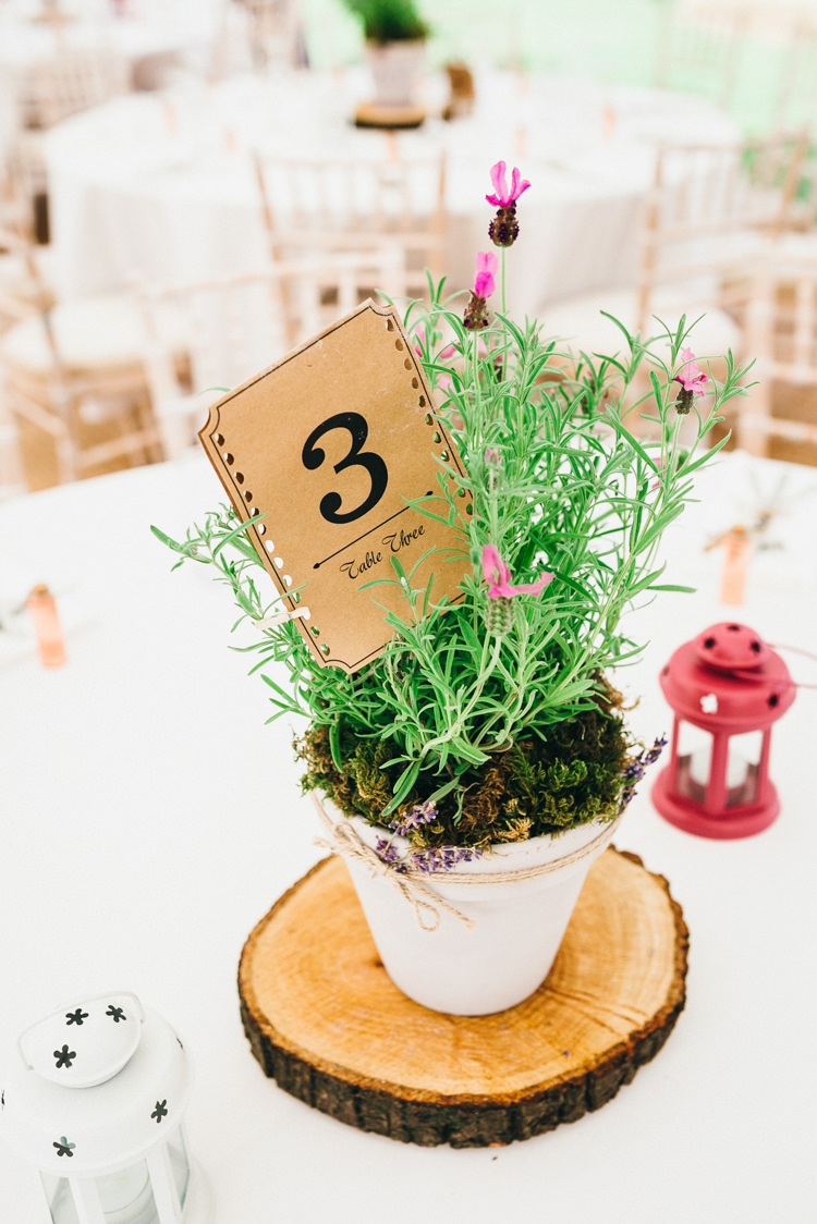 Potted Plant Centrepiece Table Decor Log Slice Table Number Magical Midsummer Night's Dream Wedding http://www.beatriciphotography.co.uk/