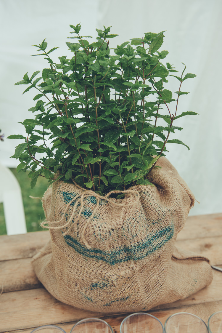 Potted Plant Rustic Home Made Country Barn Wedding http://lisahowardphotography.co.uk/