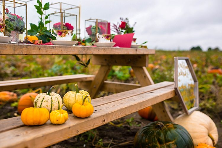 Pumpkin Field Autumn Wedding Ideas http://www.charlottewhiteweddings.co.uk/