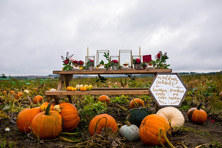 Tablescape Decor Pumpkin Field Autumn Wedding Ideas http://www.charlottewhiteweddings.co.uk/