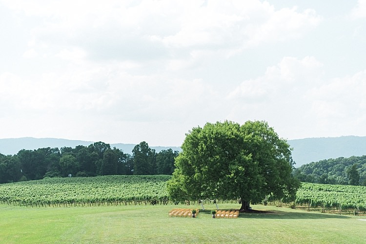 Ceremony Location Huge Tree Vineyards Green Grass Outdoor Spring Vineyard Wedding Tennessee http://www.juicebeatsphotography.com/