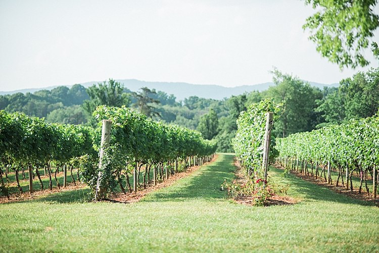 Ceremony Location Vineyards Green Grass Trees Outdoor Spring Vineyard Wedding Tennessee http://www.juicebeatsphotography.com/