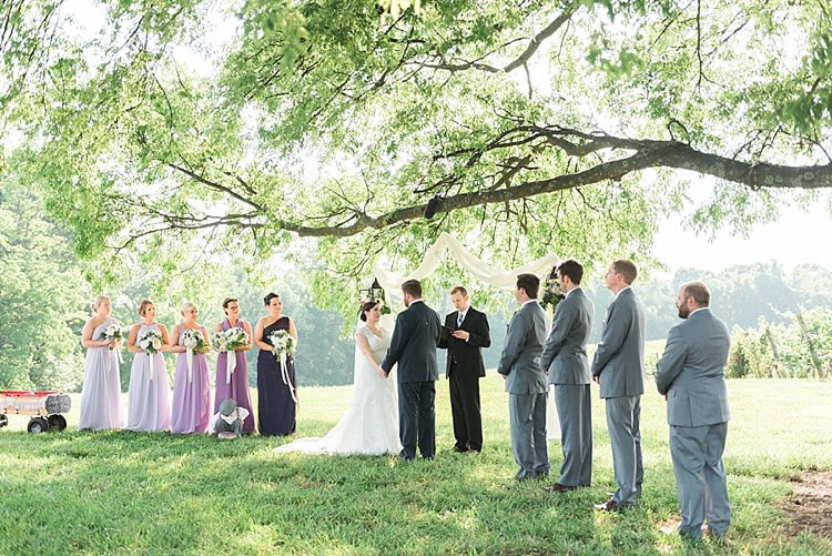 Outdoor Ceremony Bride Lace Cap Sleeve Bridal Gown Groom Navy Suit Bridesmaids Groomsmen Tree Outdoor Spring Vineyard Wedding Tennessee http://www.juicebeatsphotography.com/