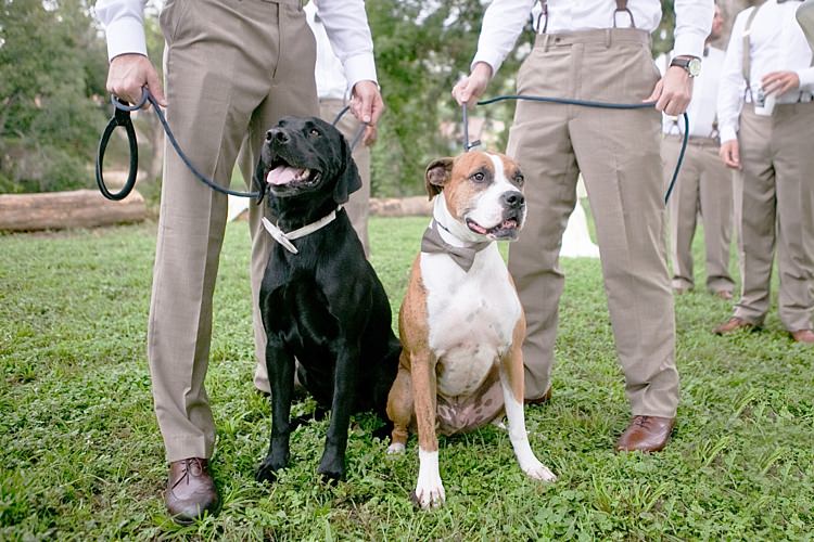 Groomsmen Khaki Pants White Shirts Suspenders Dogs Khaki Bowties Gold & Peach Riverside Garden Wedding http://kellyhornberger.com/ 