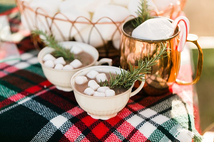 Christmas Tree Farm Wedding Ideas http://loriblythe.com/
