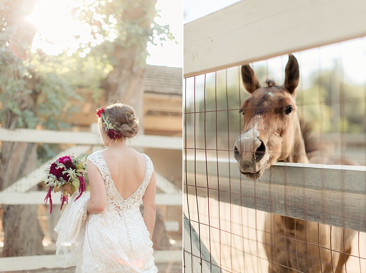 Bride Lace V Neck Low Back Buttons Bridal Gown Red Maroon Rose Floral Crown Bouquet Red Pink Cream Rose Garden Rose Amaranth Horse Visitor Luxe Outdoor Garden Wedding in California http://figlewiczphotography.com/