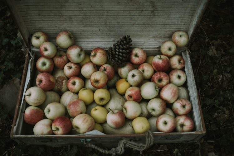 Vintage Suitcase Fresh Apples Pinecone Organic Woodland Elopement Wedding Ideas http://www.miraalpajarito.es/