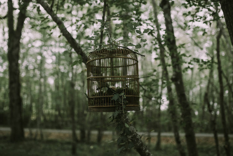 Hanging Décor Vintage Birdcage Organic Woodland Elopement Wedding Ideas http://www.miraalpajarito.es/
