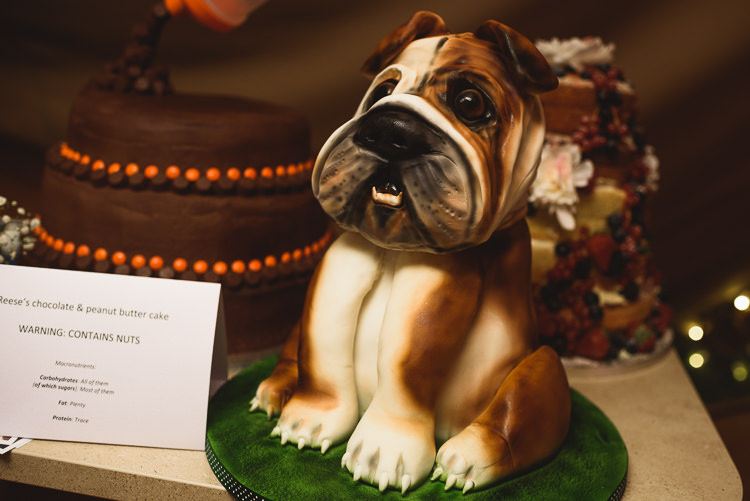 Pug Dog Cake Colourful Outdoorsy Festival Tipi Wedding http://www.jacksonandcophotography.com/